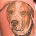 Tattoos - Realistic dog portrait - 91207